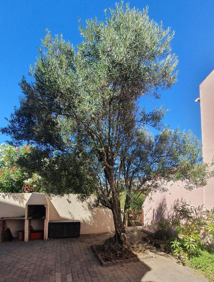 Appartement avec vaste terrasse à 30 m des dunes Agde Extérieur photo